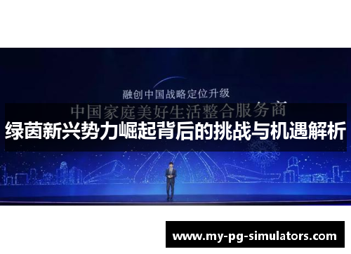 绿茵新兴势力崛起背后的挑战与机遇解析