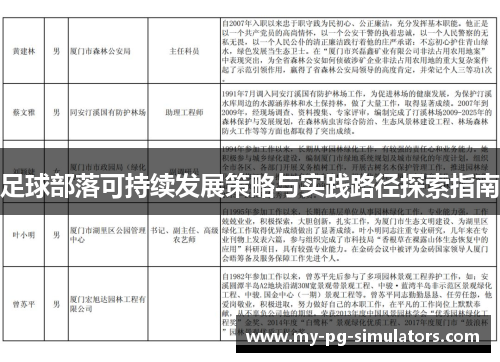 足球部落可持续发展策略与实践路径探索指南