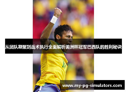 从团队凝聚到战术执行全面解析美洲杯冠军巴西队的胜利秘诀