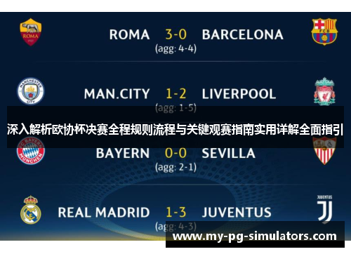 深入解析欧协杯决赛全程规则流程与关键观赛指南实用详解全面指引