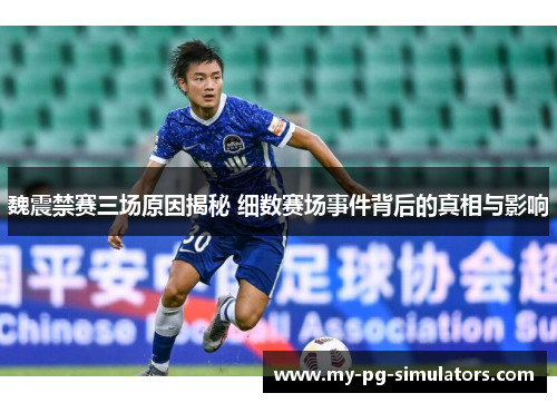魏震禁赛三场原因揭秘 细数赛场事件背后的真相与影响
