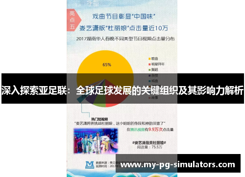 深入探索亚足联：全球足球发展的关键组织及其影响力解析