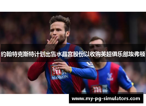 约翰特克斯特计划出售水晶宫股份以收购英超俱乐部埃弗顿