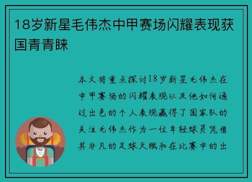 18岁新星毛伟杰中甲赛场闪耀表现获国青青睐