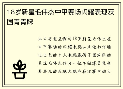 18岁新星毛伟杰中甲赛场闪耀表现获国青青睐